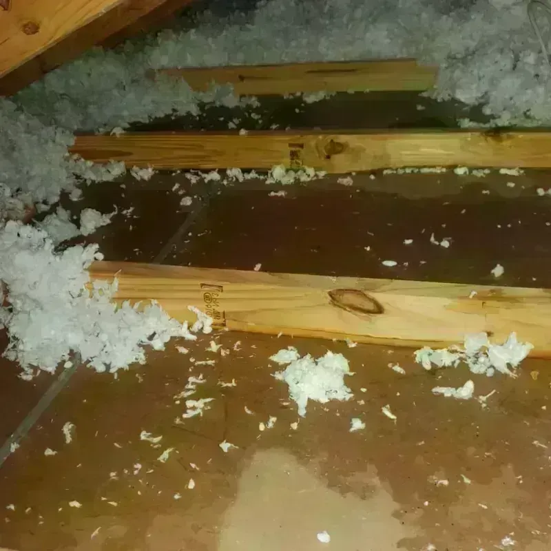 Attic Water Damage in Portage County, OH