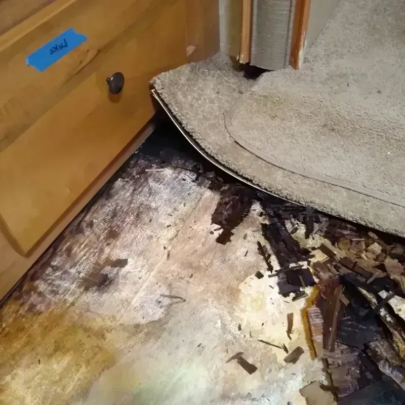 Wood Floor Water Damage in Portage County, OH